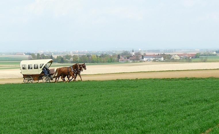 neu-1