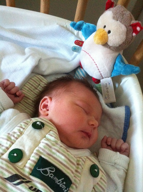 Baby Moatl