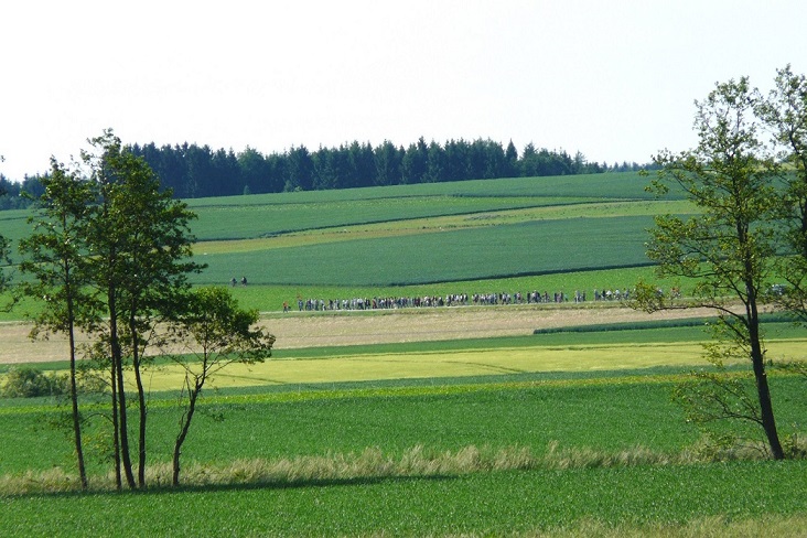 P1380565