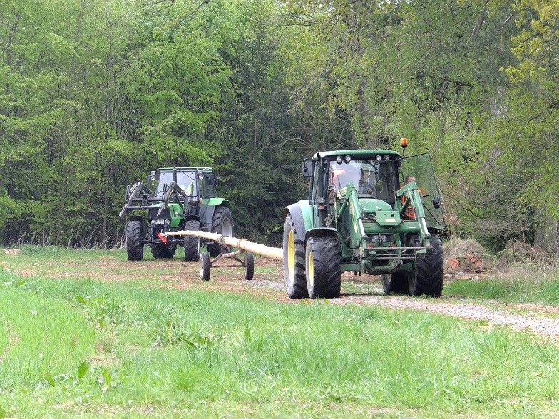 DSCF8747