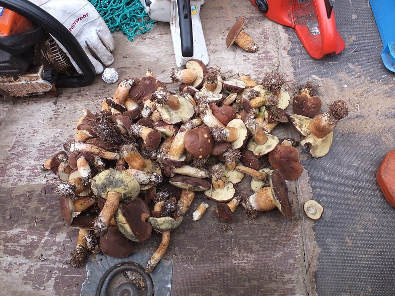 DSCF8656