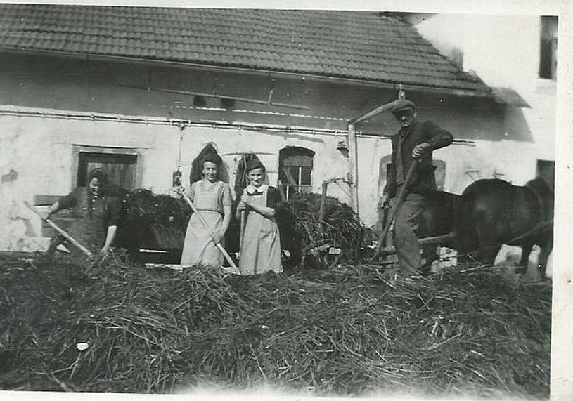 36