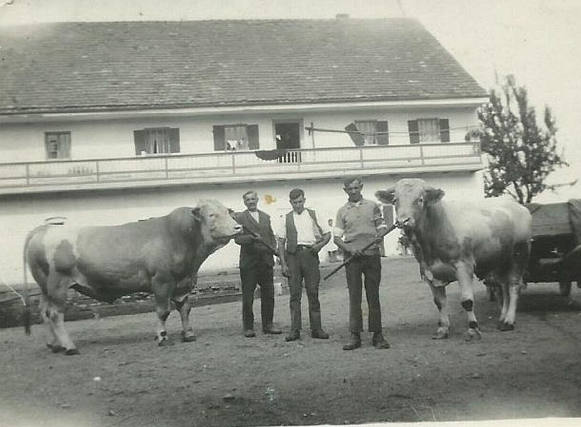 54