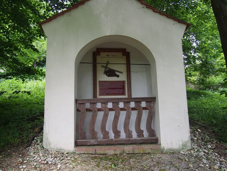 P6110041