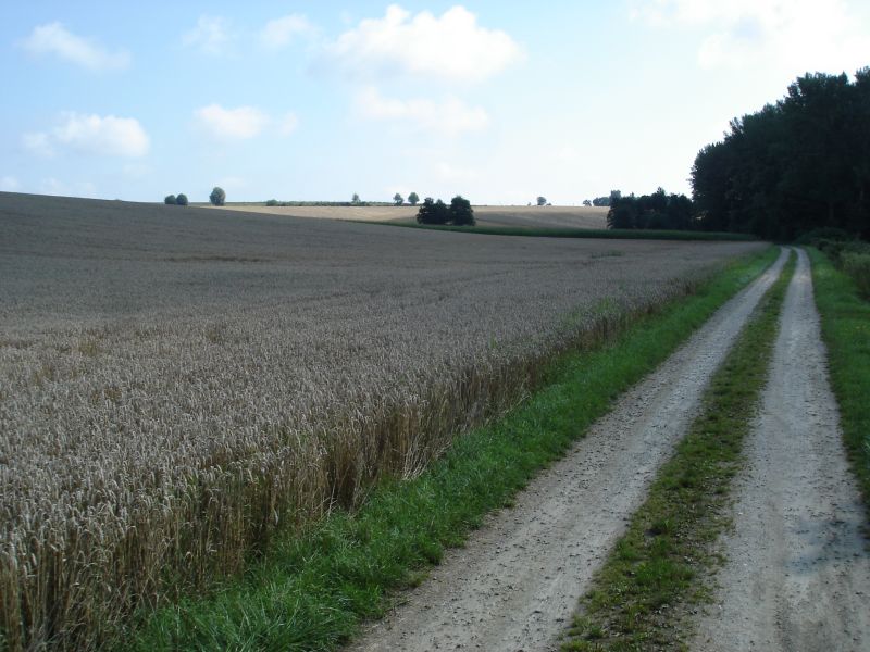 wm 2010 04-03