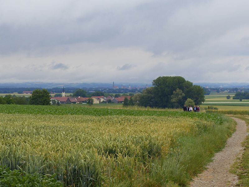 P1380279