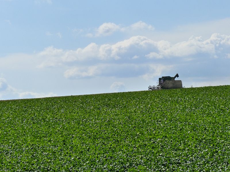 P1400359