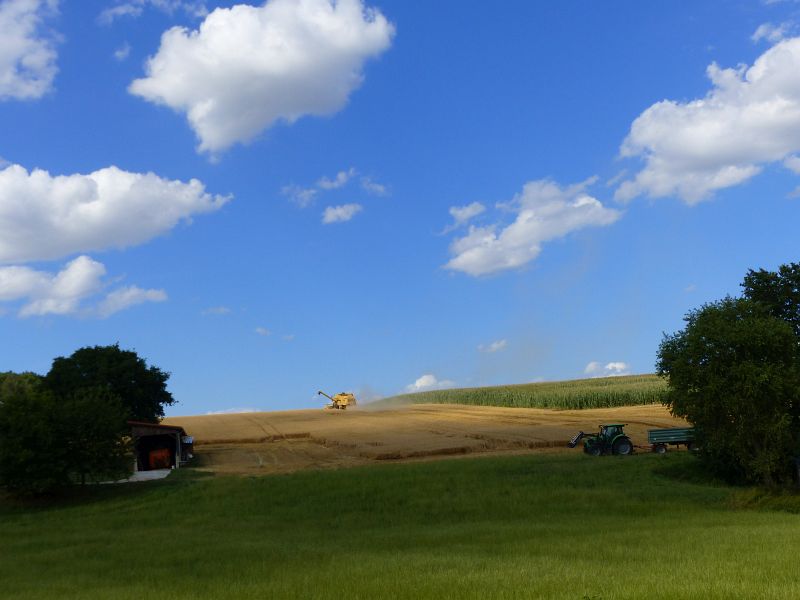 P1400368