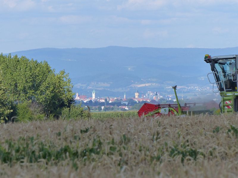 P1400445