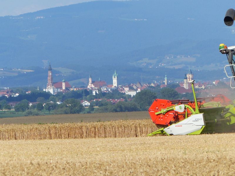 P1400463