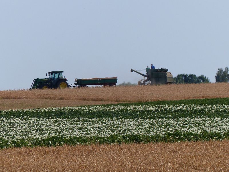 P1400496