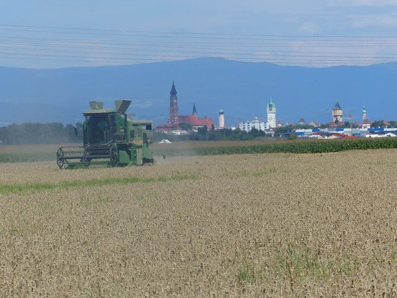 P1400862