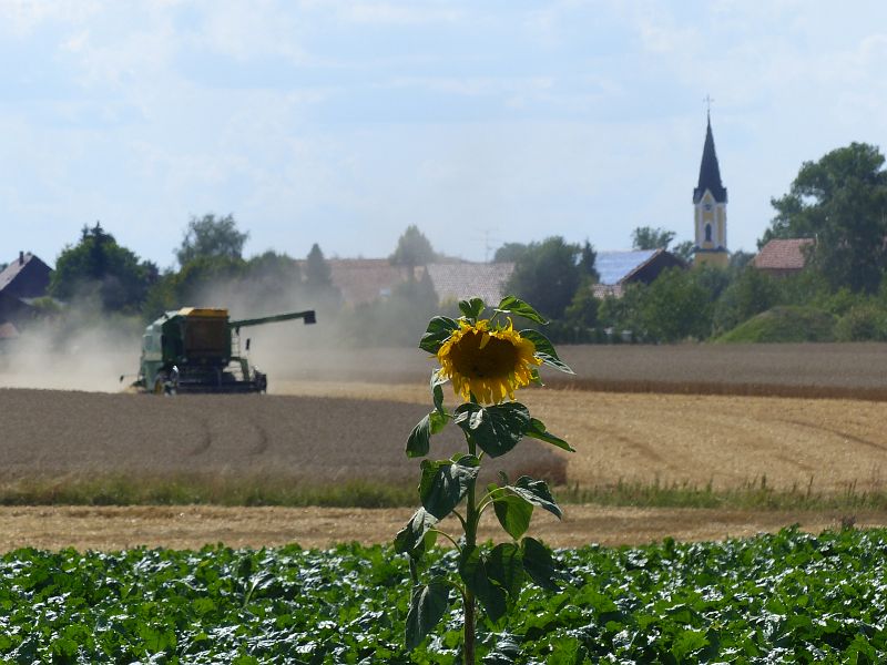 P1400947