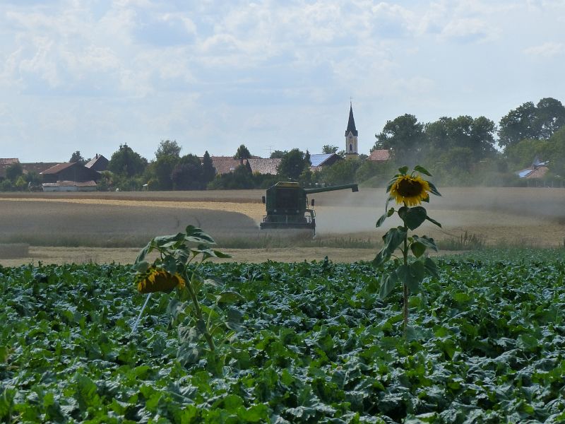 P1400954