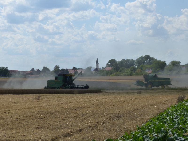 P1400962