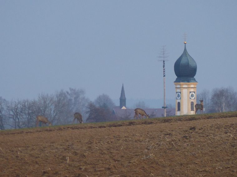 P1300577
