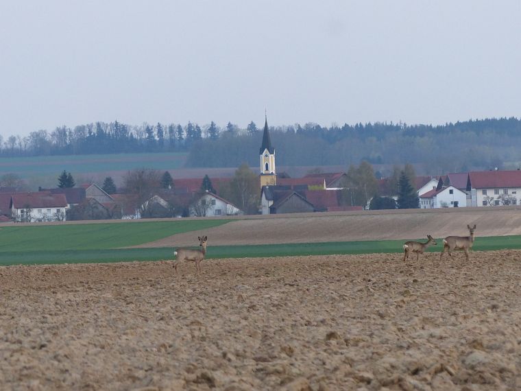 P1310788