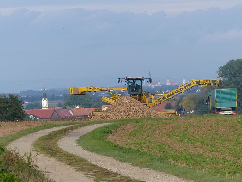 P1440166