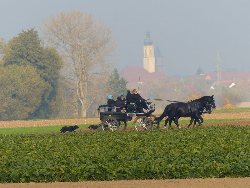 P1450112