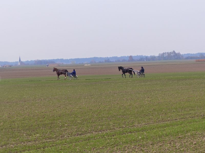 P1450637