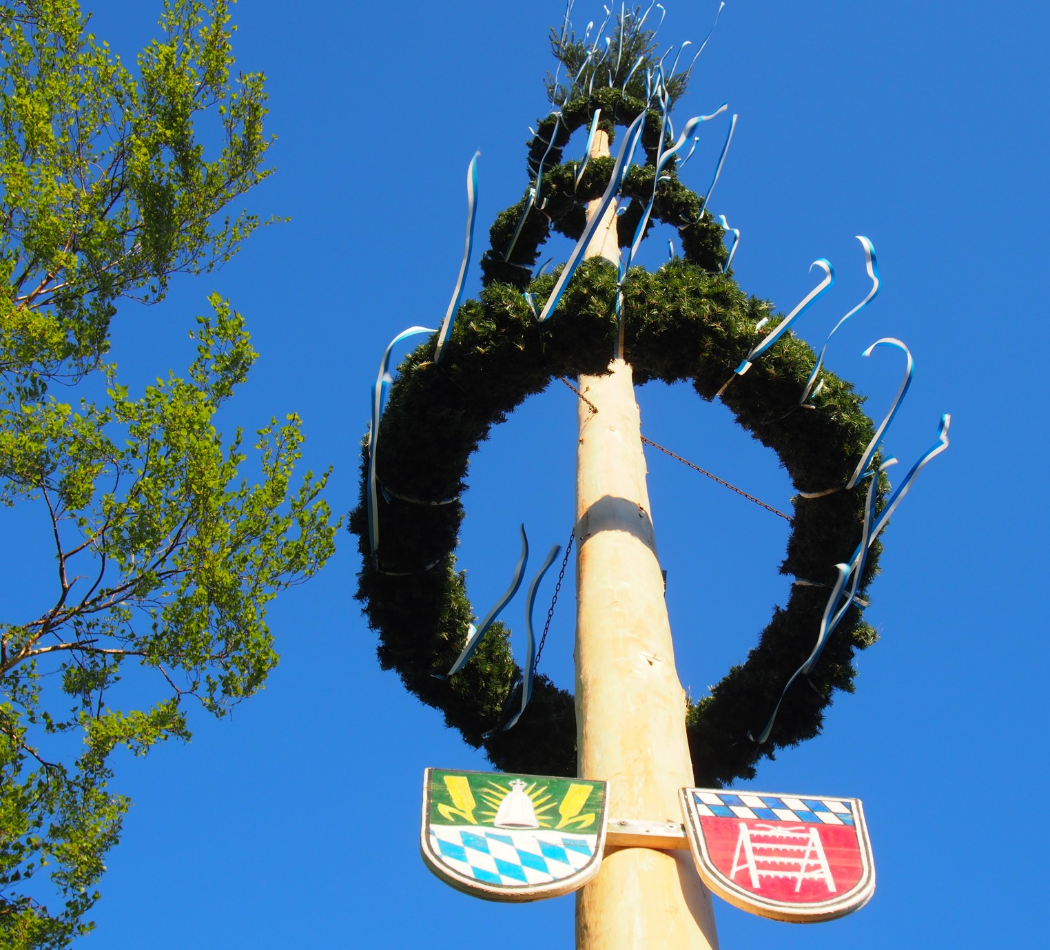 Maibaum