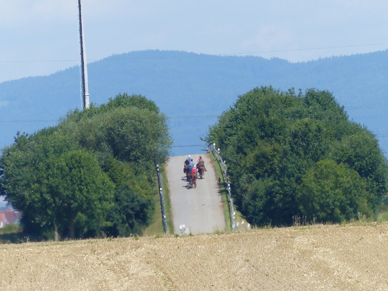 P1410805