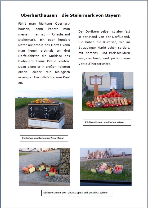 Steiermark1