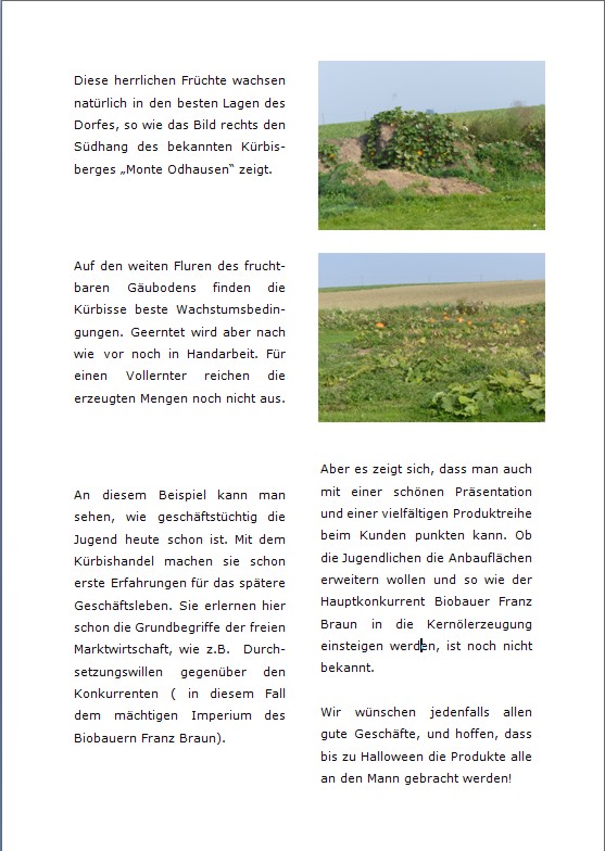 Steiermark2