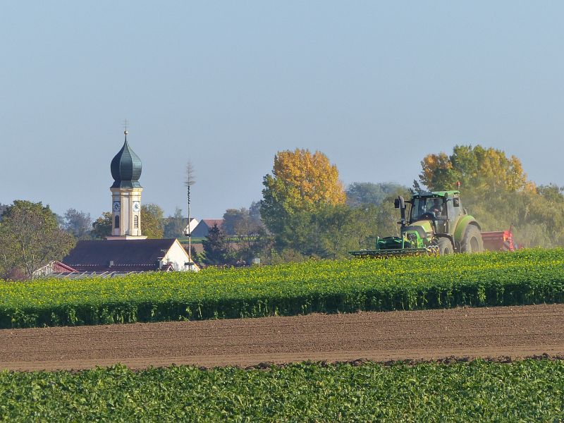 P1540319