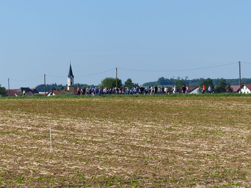 P1500488