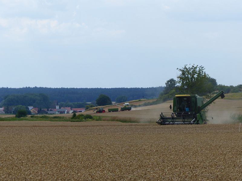 P1510705