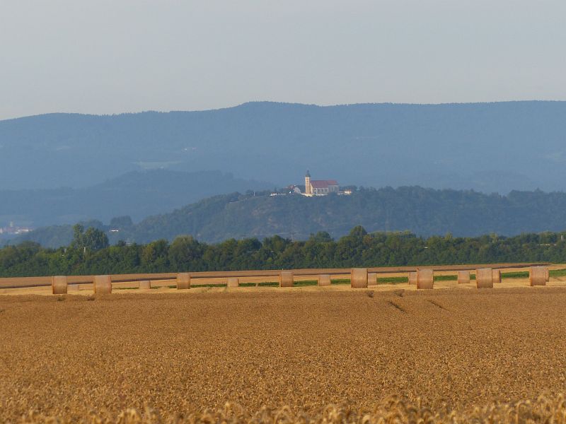 P1520145
