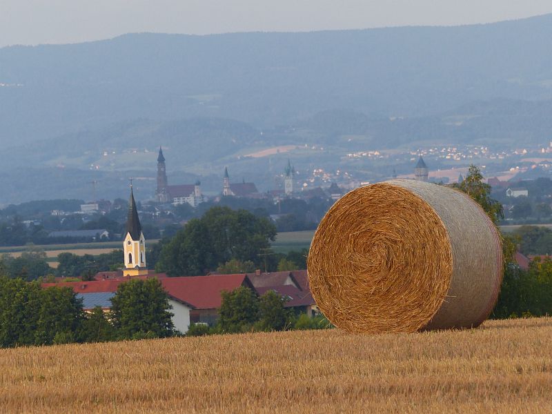 P1520245