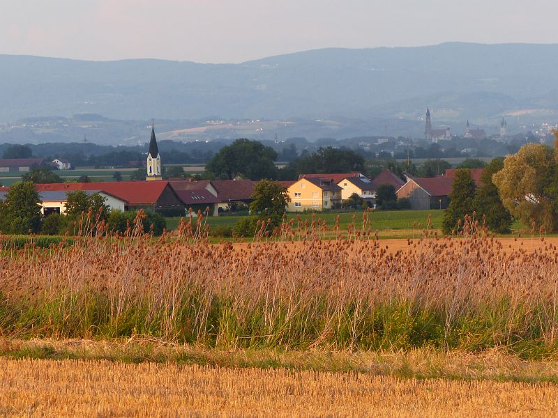P1520259