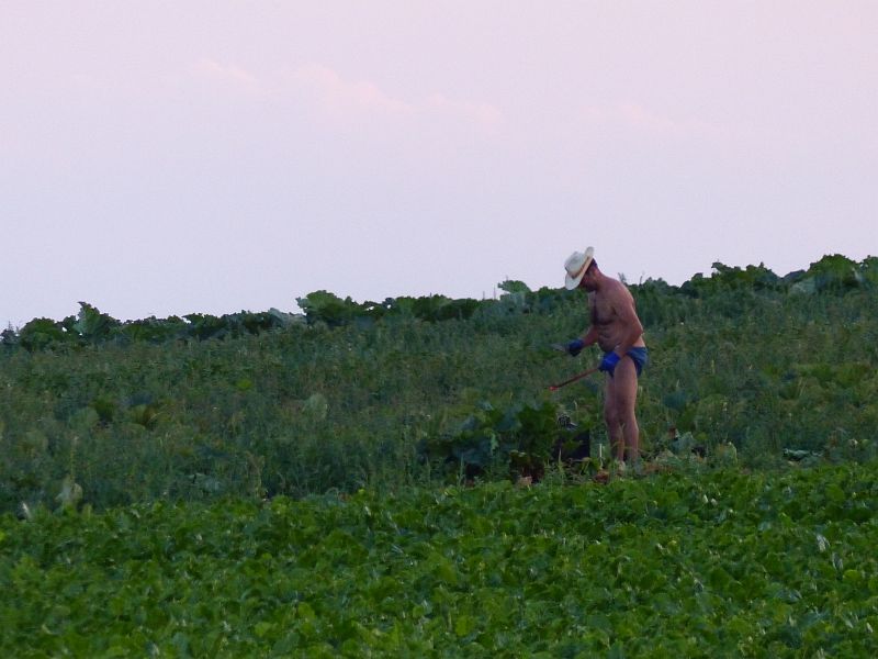 P1520729