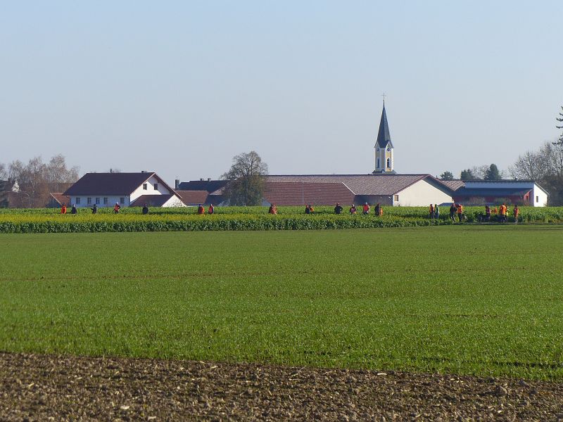 P1550459