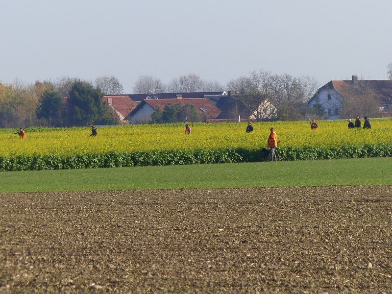 P1550467