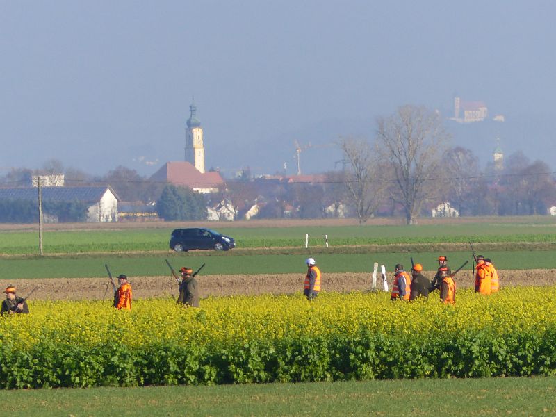 P1550481