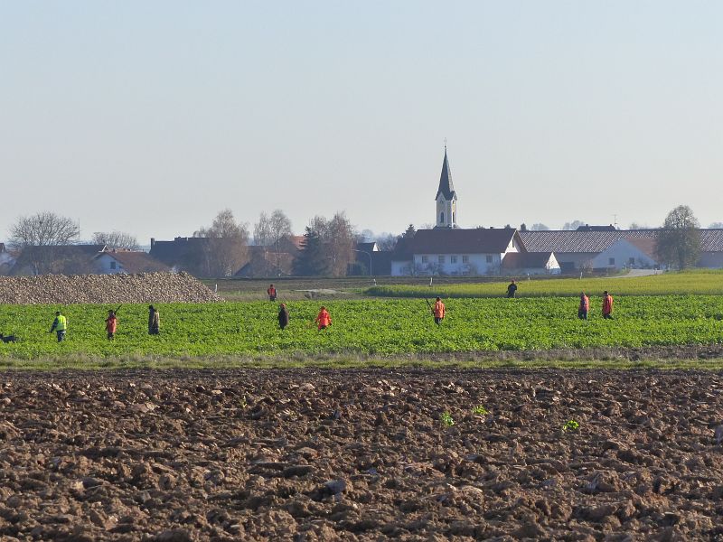 P1550534