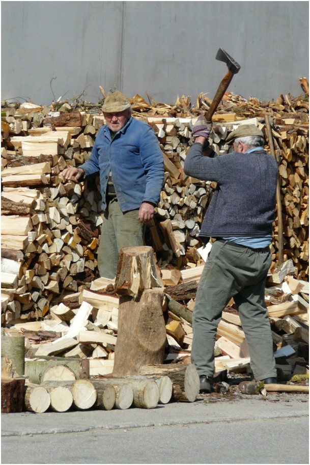 holz