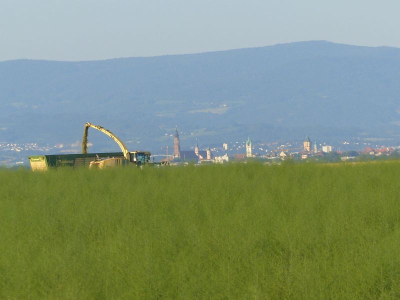 P1620593