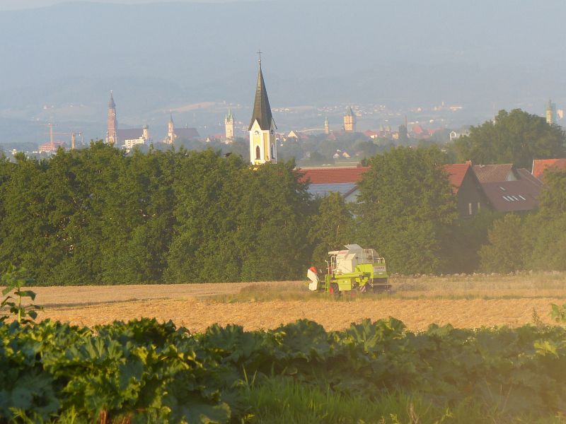 P1630347