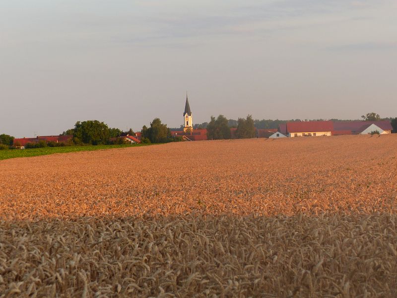 P1630353