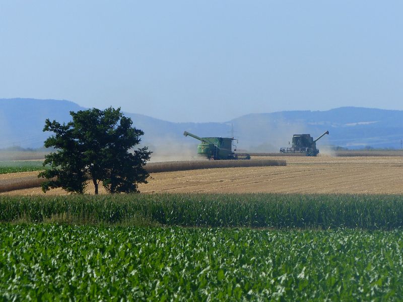 P1630520