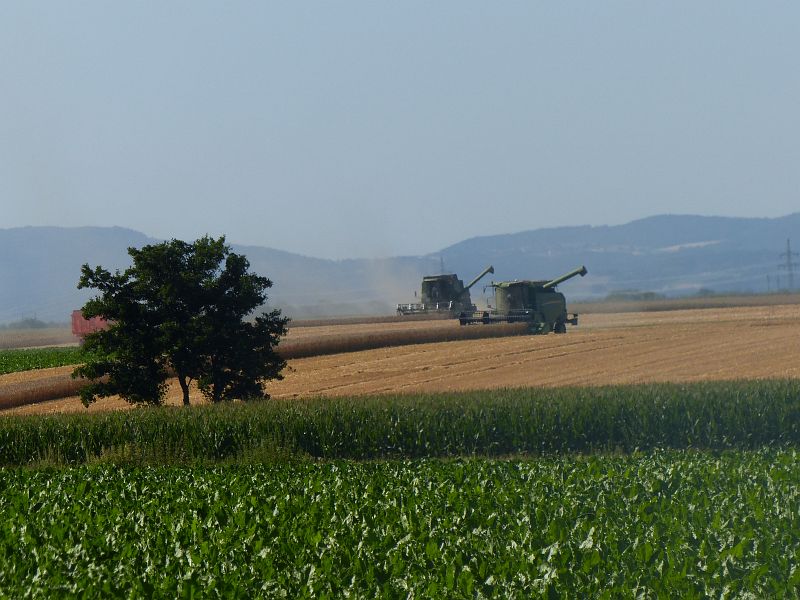 P1630526