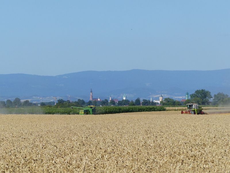 P1630575
