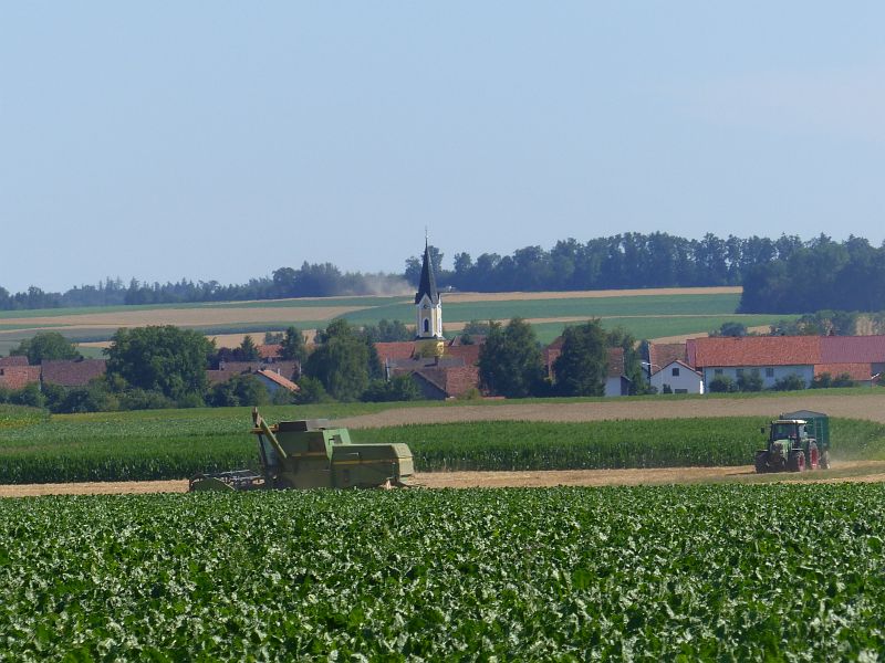 P1630721