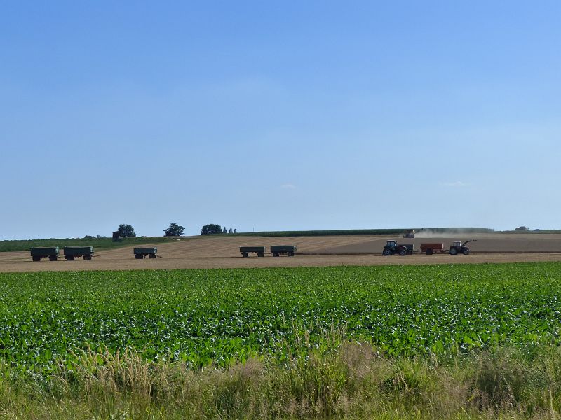 P1630775