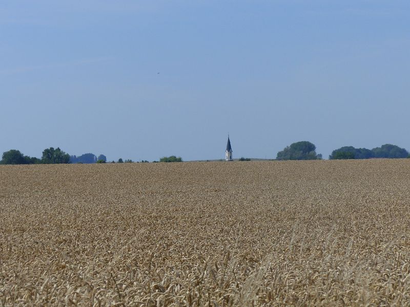 P1630937