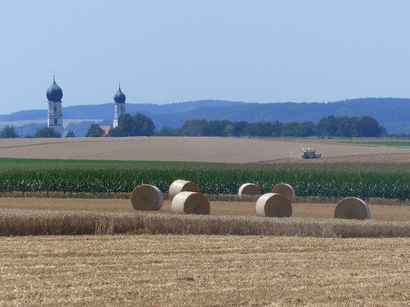 P1630956